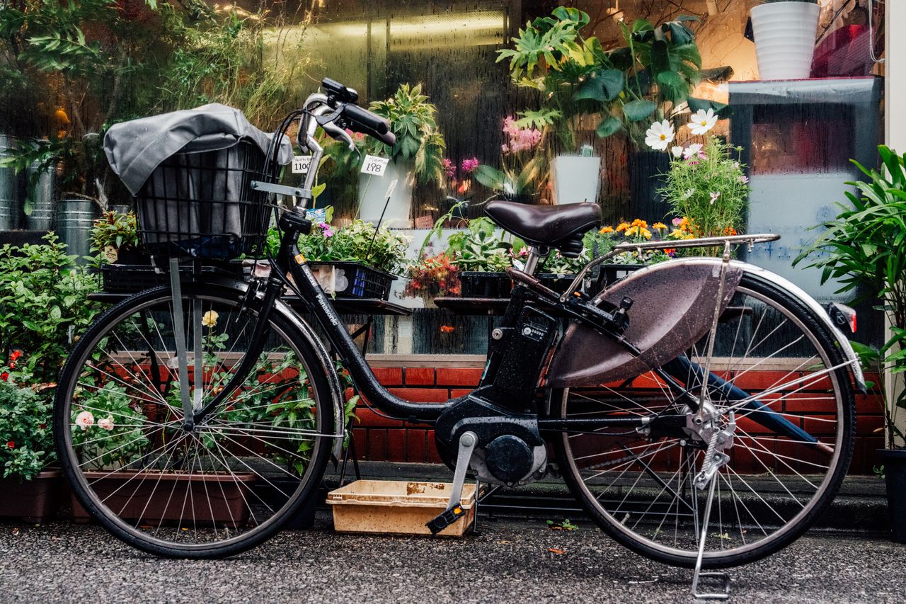 bicycle